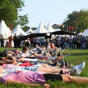 Koprivnica: Sokolari iz Slovačke najveća atrakcija zadnjeg dana Renesansnog festivala