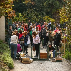 Godišnja rasprodaja u Botaničkom vrtu