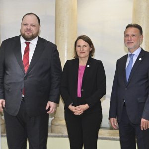Ruslan Stefančuk, Valerie Rabault, Gordan Jandroković