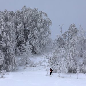 Snijeg u Begovom Razdolju