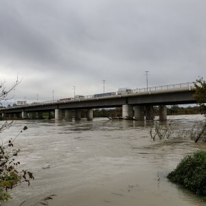 Zagreb: Nabujala Sava kod Podsusedskog mosta nosi naplavine