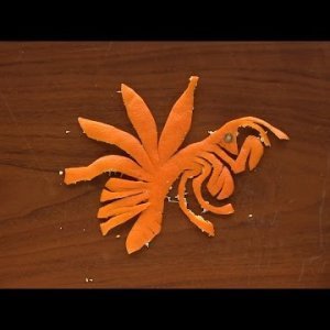 Bogomoljka - Orange Origami Art