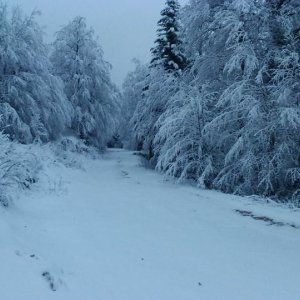 Snijeg na Zavižanu