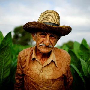 Poljoprivrednik Osvaldo Lemas pozira pred poljem duhana na Kubi