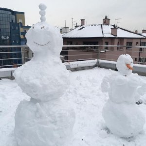 Snjegović na tportalu