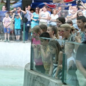 Zoološki vrt u centru Zagreba proslavio svoj veliki 93. rođendan