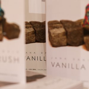 U Galeriji Laval Nugent otvorena izložba 'Vanilla Rush' Jane Danilović