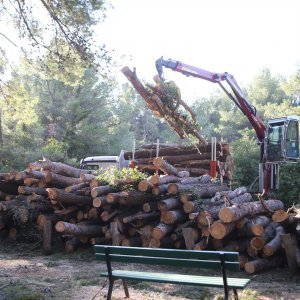 U Splitu započeli radovi u Park šumi Marjan