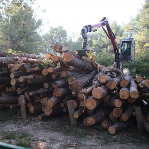 U Splitu započeli radovi u Park šumi Marjan