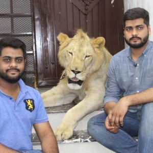 Lav u Pakistanu