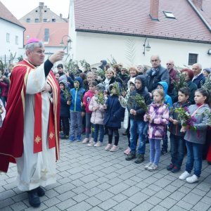 Sisak: Procesiju Cvjetnice i blagoslov maslinovih grančica predvodio biskup Vlado Košić