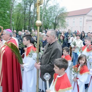 Sisak: Procesiju Cvjetnice i blagoslov maslinovih grančica predvodio biskup Vlado Košić