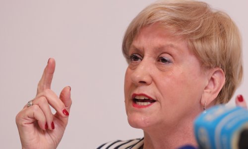 Bivša ravnateljica Instituta Ruđera Boškovića najavila kaznenu prijavu protiv članova Upravnog vijeća, među njima i Puljak
