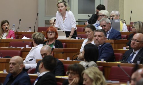Kekin: Predložit ćemo da se Istanbulska konvencija počne implementirati