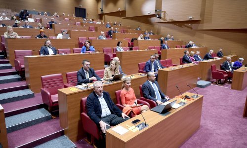 Planira se uvođenje novog kaznenog djela. Što će o tome reći zastupnici?