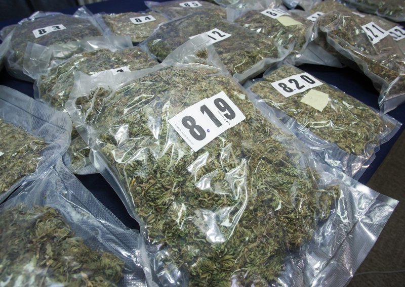 Policijski pas otkrio gotovo pola kilograma marihuane skrivene u automobilu