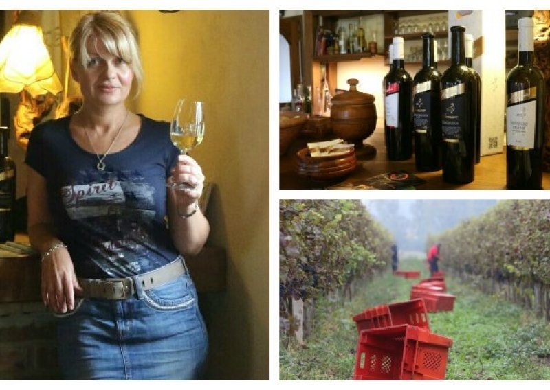 Jedina vinarka u Podunavlju: Ženska nota prepoznaje se u vinima