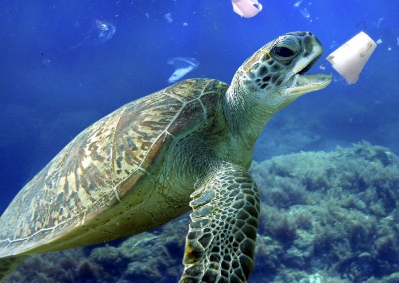 Svjetski je dan oceana, znate li koliko njihovi stanovnici pate zbog plastike?