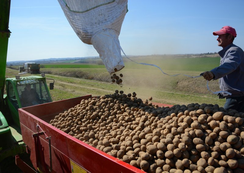 U Hrvatsku uvezeno 38.000 tona krumpira, raste uvoz jabuka, krušaka i lubenica