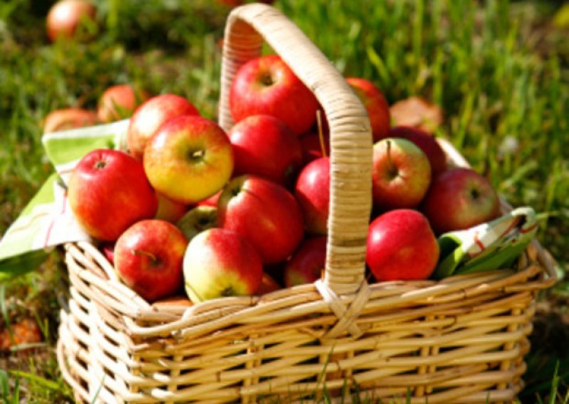 Enormni rast proizvodnje jabuka, šljiva i krušaka