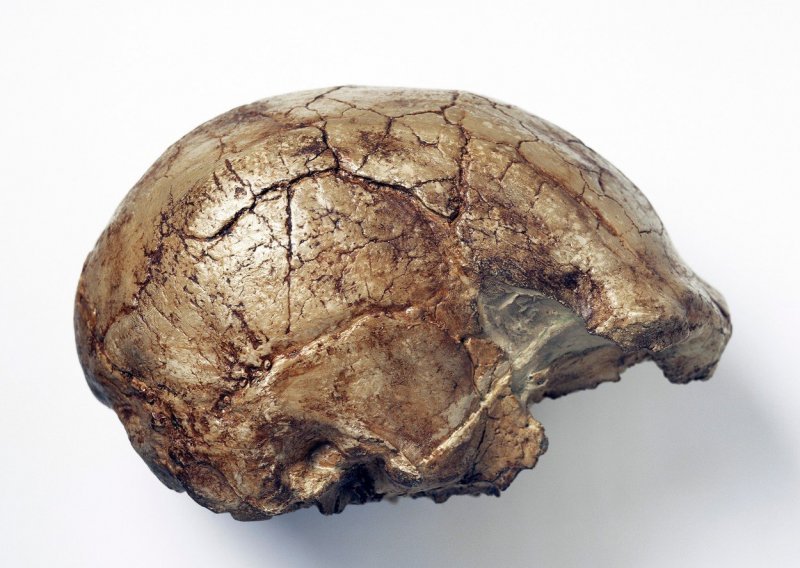 U Europi pronađen najstariji 'neafrički' homo sapiens