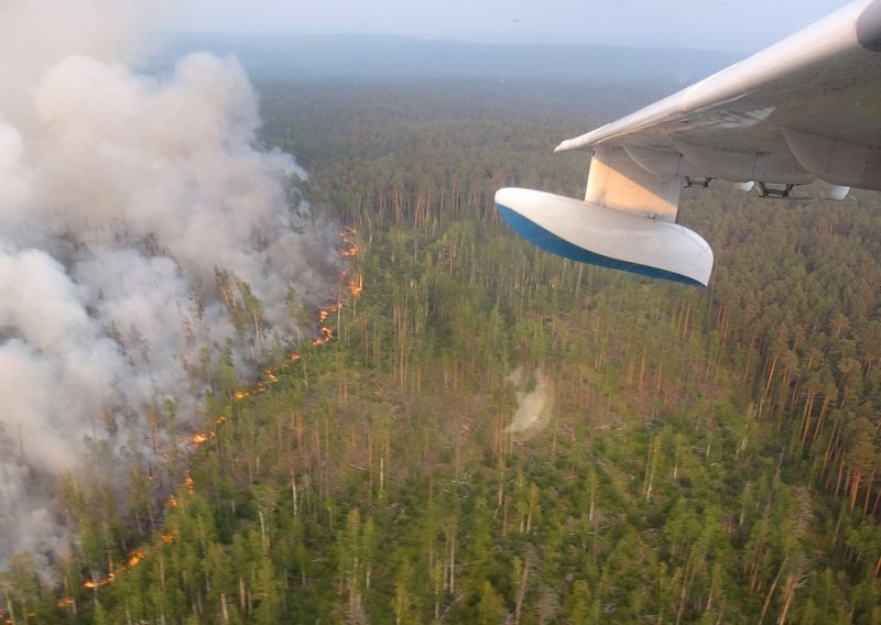 Tisuće dragovoljaca bore se sa šumskim požarima u Rusiji
