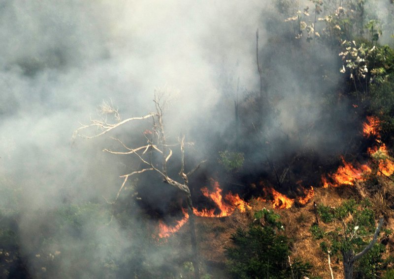 Stotine novih požara pustoše Amazoniju