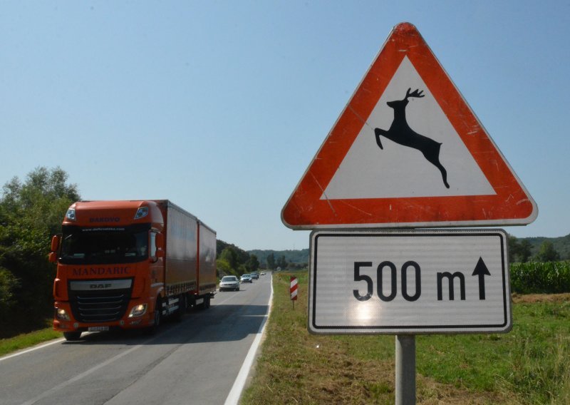 Hrvatskom lovačkom savezu 20 milijuna kuna za osiguranje štete od naleta vozila na divljač