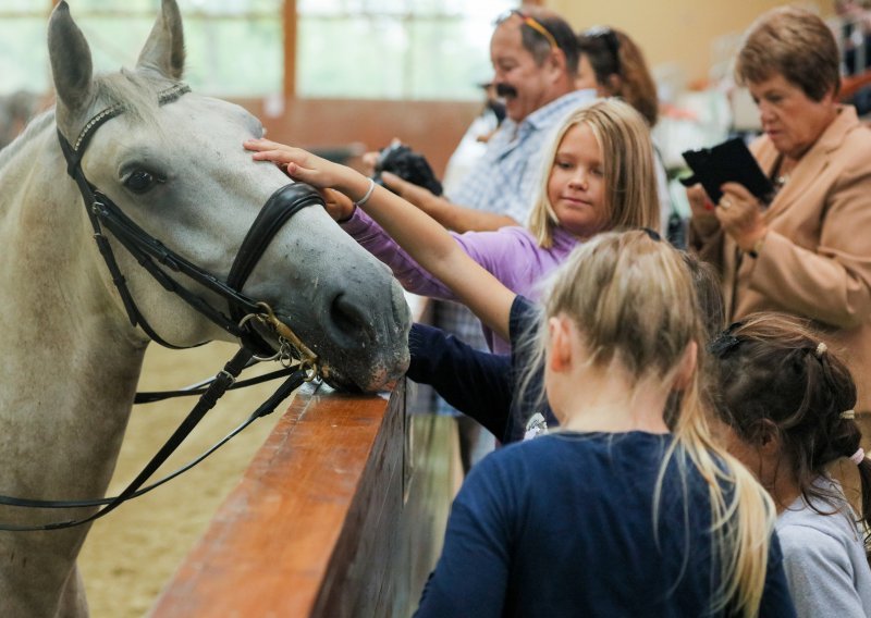 [FOTO] Ergela Đakovo proslavila svoj dan, veličanstveni konji očarali sve posjetitelje