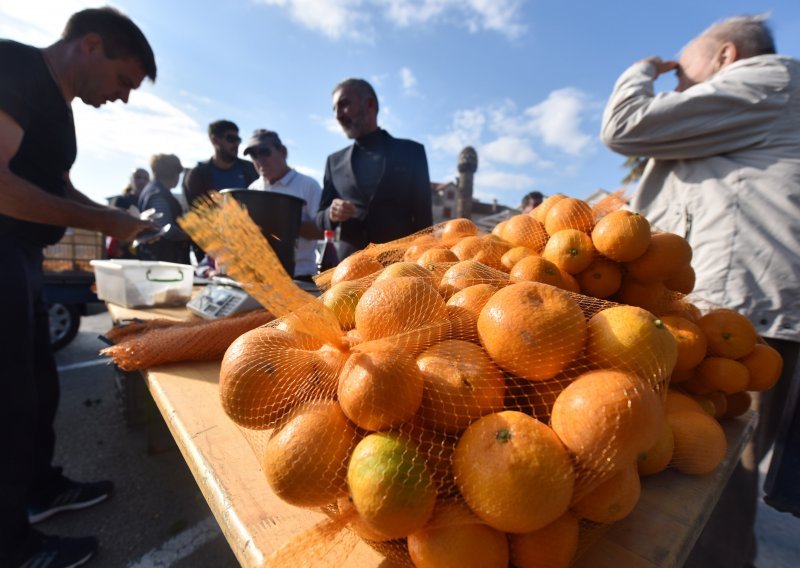 Proizvođačima mandarina 20 milijuna kuna potpora