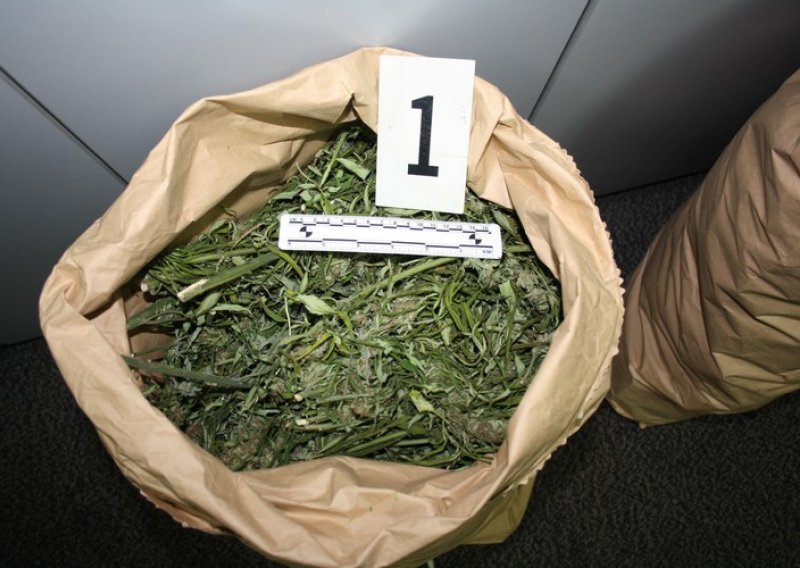 Muškarac kod Zaprešića uzgajao marihuanu, uhićen je s gotovo 30 kila droge