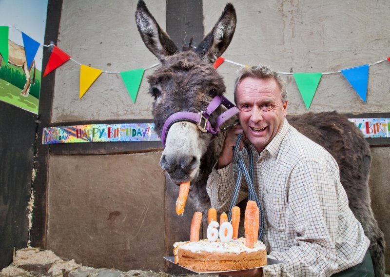 Najstarija magarica na svijetu proslavila rođendan