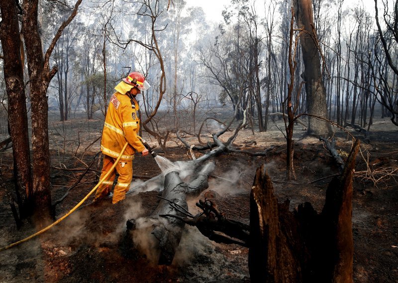 Po šumskim požarima 2019. prosječna, ali s 'dosad neviđenim' slučajevima