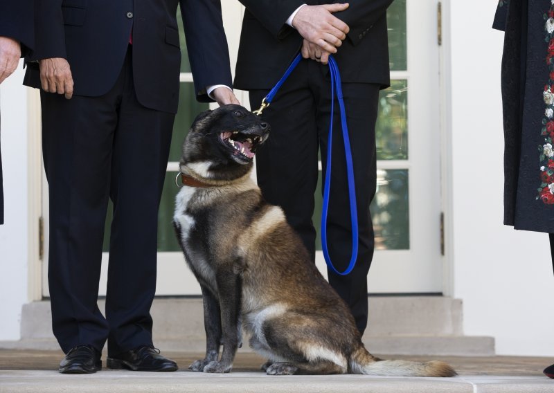 Trump odlikovao Conana, vojnog psa ozlijeđenog u operaciji al-Baghdadi