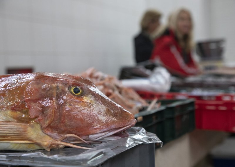 Inspekcija zabranila prodaju ribe na otvorenom dijelu splitske ribarnice