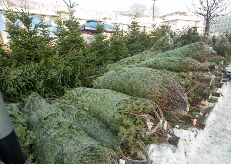 U Caritasovoj akciji 'Za 1000 radosti' prodaja božićnih drvca na Trgu bana Jelačića