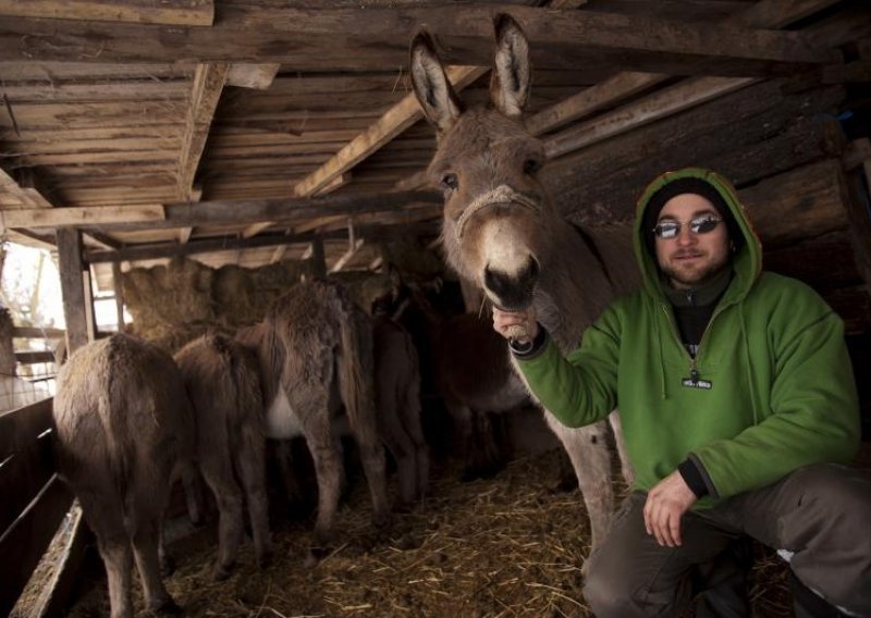 Vodimo vas na magareću farmu Nevena Ciganovića