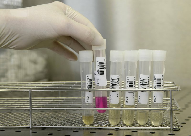 Virus svinjske gripe stvoren u laboratoriju