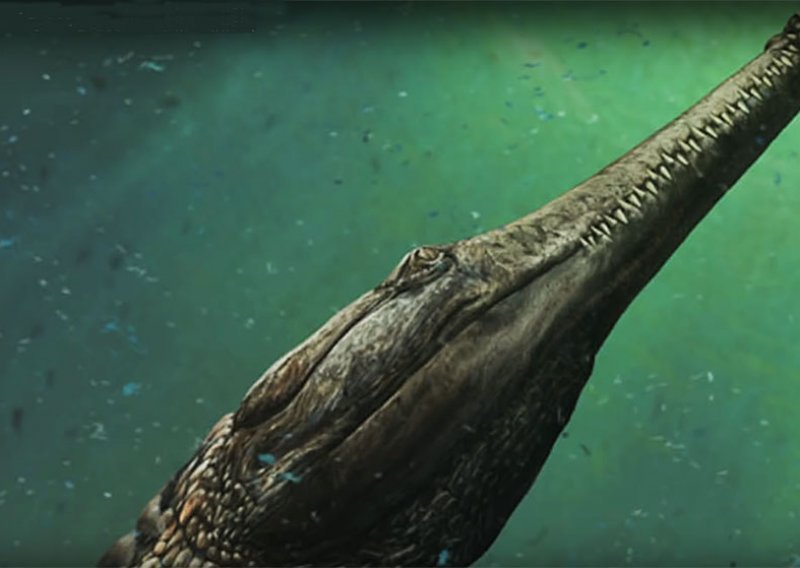 Otkriven najveći morski krokodil ikada!
