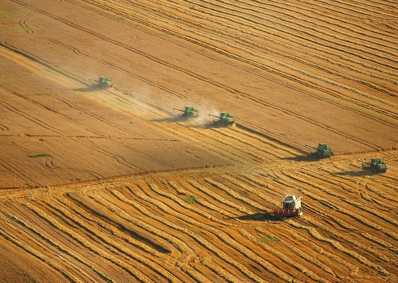DZS: Vrijednost poljoprivredne proizvodnje u 2021. porasla 8,1 posto