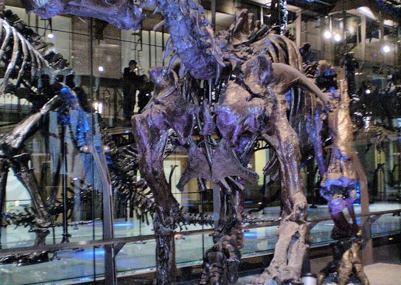 Pronađen mozak dinosaura izumrlog prije 139 milijuna godina