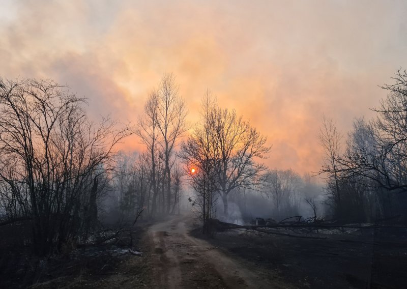 Ukrajinski vatrogasci peti dan zaredom bore se sa šumskim požarom kod Černobila