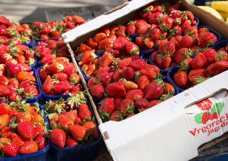 Vrgoračke jagode stižu na hrvatske tržnice