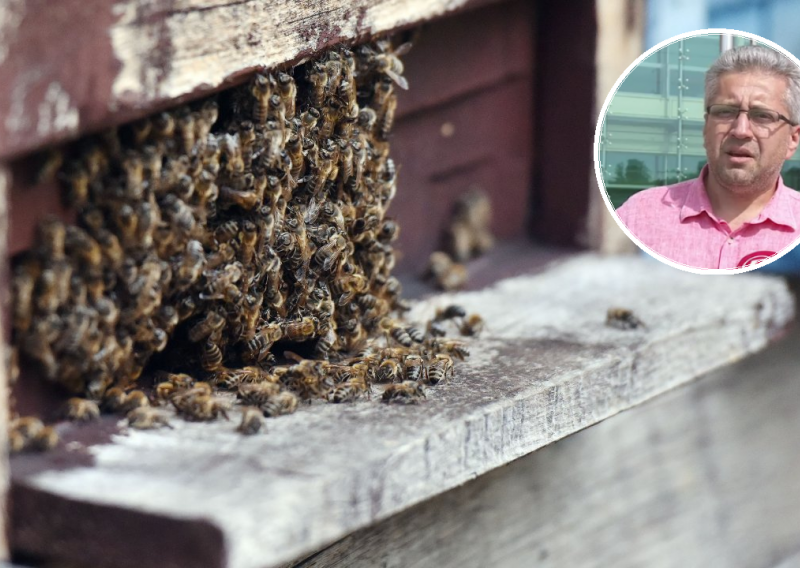 Profesor pčelarstva i pčelar objašnjava razmjere katastrofe u Međimurju: 'To je ekocid! Tko će sada oprašivati voćke i bilje?'