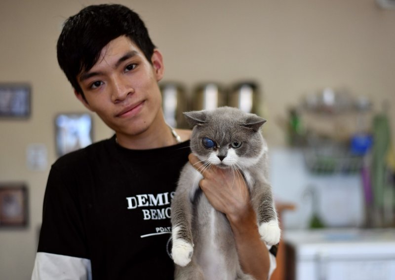 [FOTO] U vijetnamskom kafiću može se naručiti kavu za ovdje i mačku za ponijeti