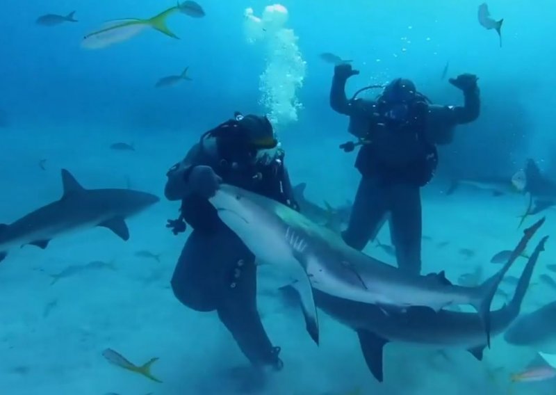 Mike Tyson odradio tri runde s morskim psom; pogledajte nevjerojatan video iz morskih dubina; jedna vijest razočarala fanove
