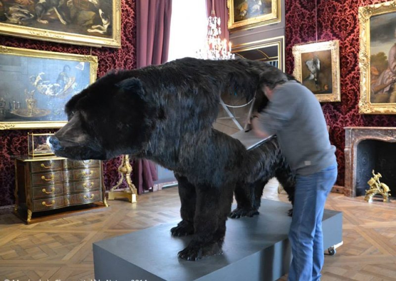 Umjetnik provodi dva tjedna u tijelu medvjeda
