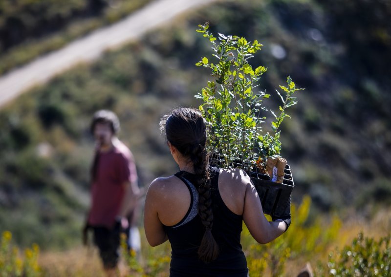 Boranka: Volonteri tijekom vikenda posadili oko 4000 novih stabala