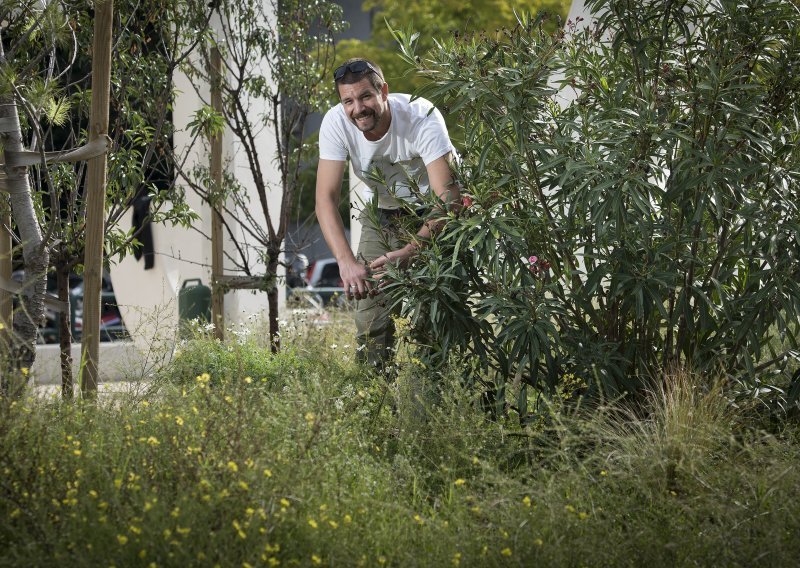 [FOTO] Igor Belamarić kirurg je za biljke koji spašava sve, od gospodskih vrsta do uličarki: U vrtu Bilih garantiram spektakl već iduće proljeće!