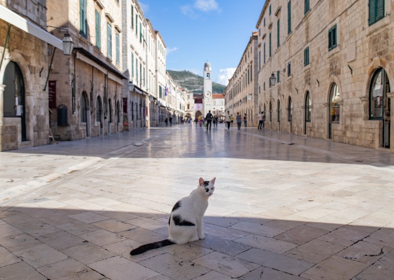 Kornakriza nije omela infrastrukturne projekte u Dubrovniku